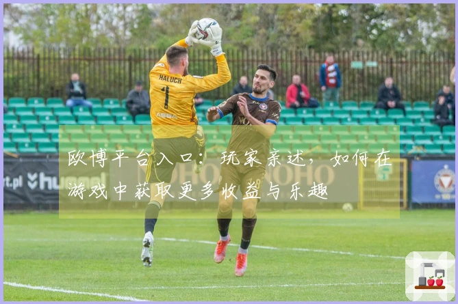 欧博平台入口：玩家亲述，如何在游戏中获取更多收益与乐趣