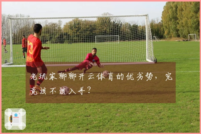 老玩家聊聊开云体育的优劣势，究竟该不该入手？
