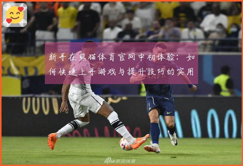 新手在熊猫体育官网中初体验:如何快速上手游戏与提升技巧的实用建议