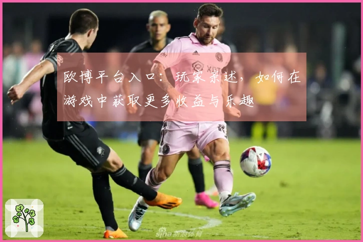 欧博平台入口：玩家亲述，如何在游戏中获取更多收益与乐趣